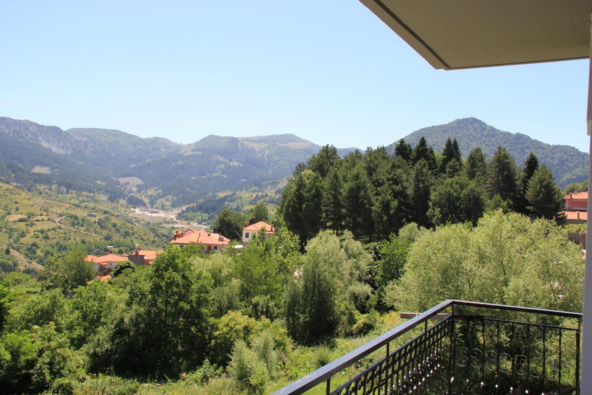 Oresivio Metsovo Buitenkant foto