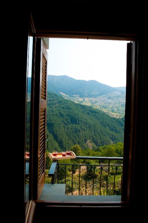 Oresivio Metsovo Kamer foto