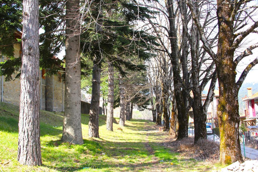Oresivio Metsovo Buitenkant foto