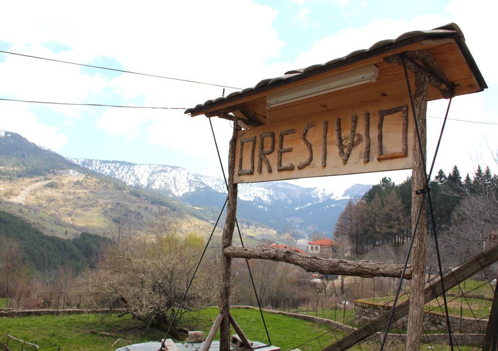 Oresivio Metsovo Buitenkant foto